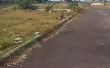 Land For Sale in Keshampet