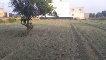  Land – Exterior View View at Achheja - for Rent