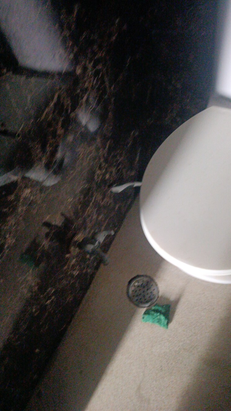 Bathroom, amrapali-heartbeat-city 3 Bedroom 1350 Sq.Ft. Apartment In Sector 107 Noida 8003905