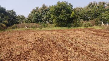Plot Area in  Land at BKR Bhopani Plots, Neharpar – for Sale
