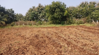 Commercial Land 3 Acre For Resale in Sector 2 Faridabad  8003934