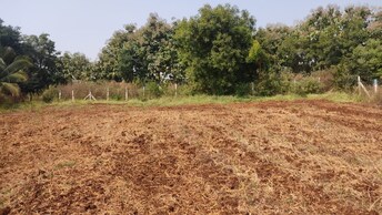 Commercial Land 3 Acre For Resale in Sector 2 Faridabad  8003934