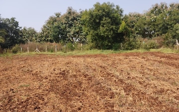 Land For Sale in Jeevan Shakti Apartments, Sector 2