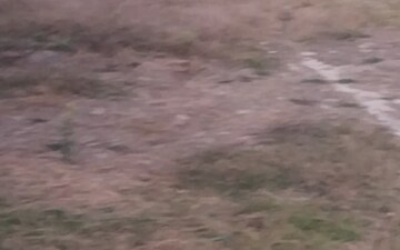 Plot For Sale in Murthal