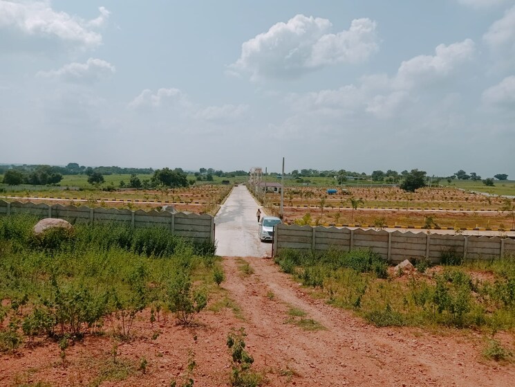 undefined, indresham  242 Sq.Yd. Plot In Indresham Hyderabad 8004250