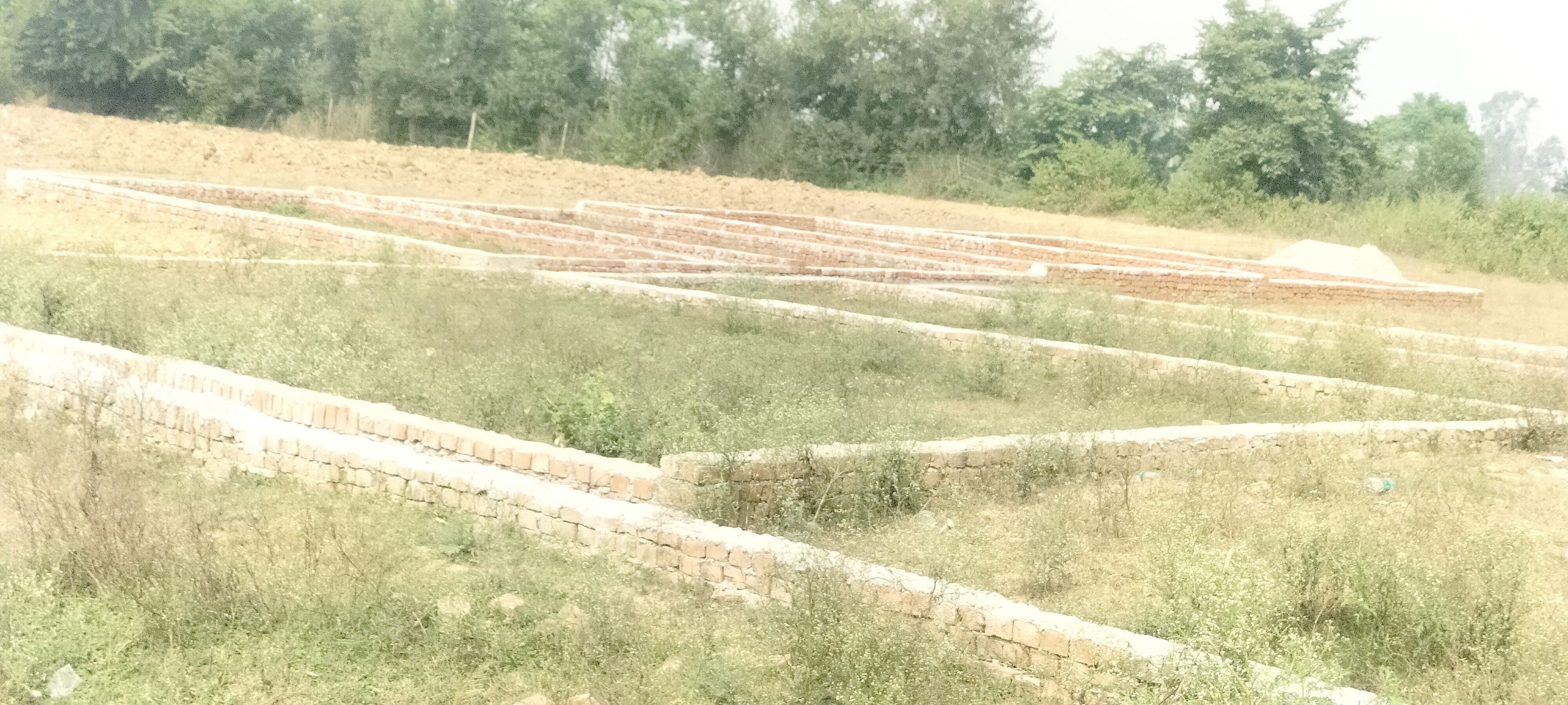 Plot For Sale in Shyam Vihar 