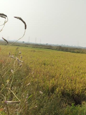 Plot Area in  Plot at Vindhane – for Sale