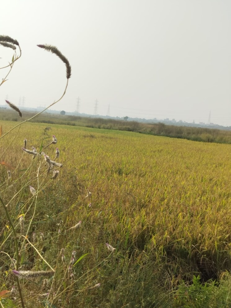 undefined, vindhane  1089 Sq.Ft. Plot In Vindhane Navi Mumbai 8004319