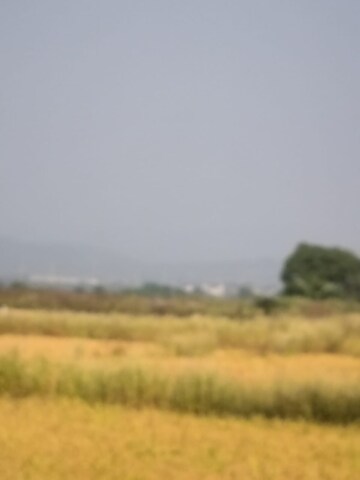 Plot Area in  Plot at Vindhane – for Sale