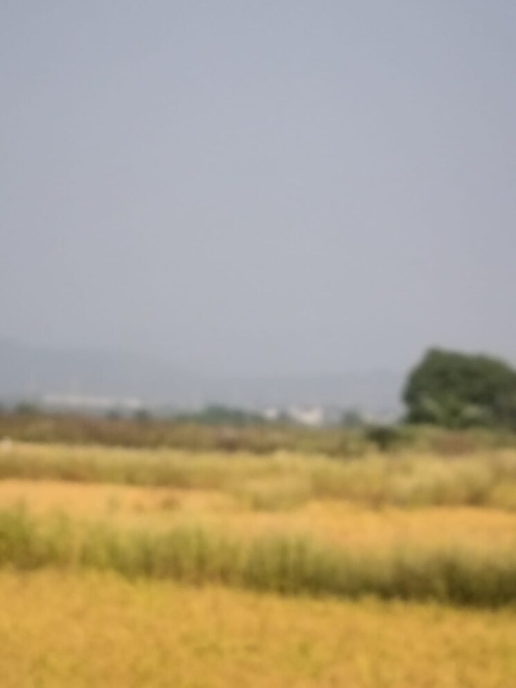 undefined, vindhane  1089 Sq.Ft. Plot In Vindhane Navi Mumbai 8004319