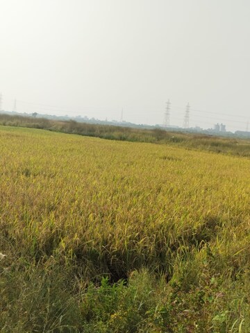 Plot Area in  Plot at Vindhane – for Sale