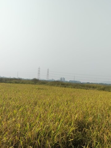 Plot Area in  Plot at Vindhane – for Sale