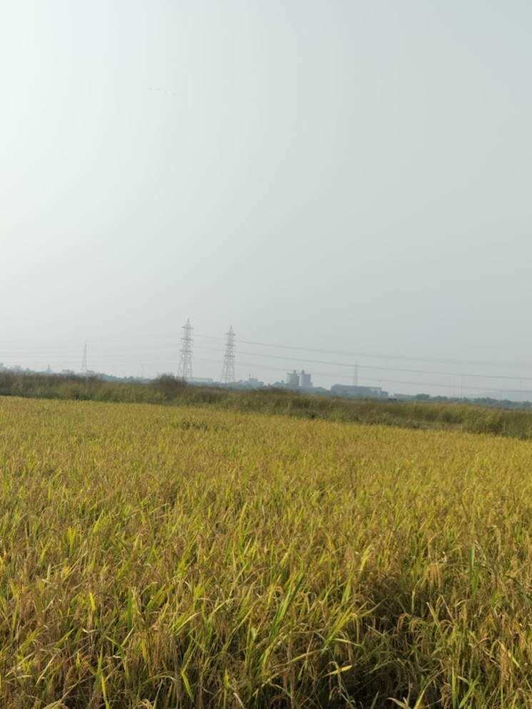 undefined, vindhane  1089 Sq.Ft. Plot In Vindhane Navi Mumbai 8004319