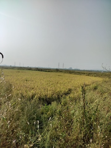  Plot For Sale in Vindhane