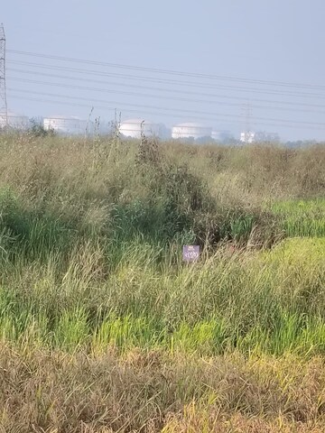 Plot Area in  Plot at Vindhane – for Sale