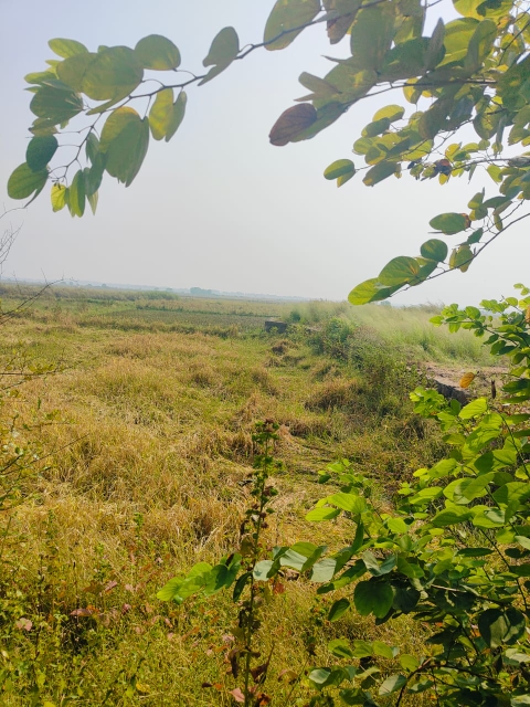 Plot For Sale in Vindhane