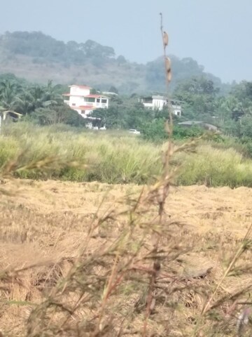 Plot Area in  Plot at Vindhane – for Sale
