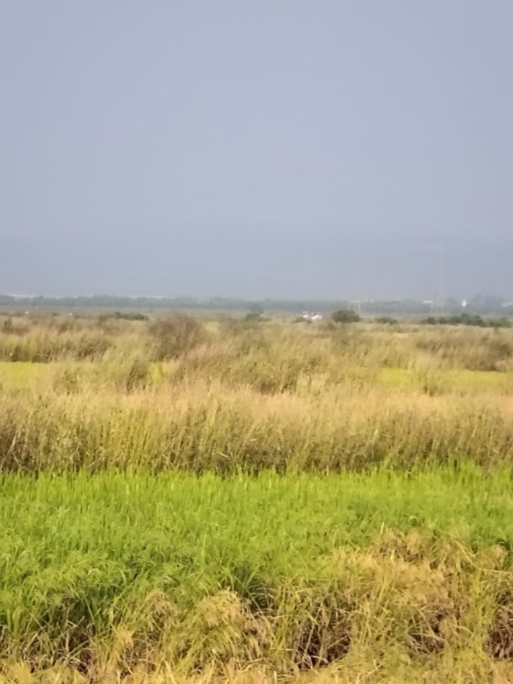 undefined, vindhane  1089 Sq.Ft. Plot In Vindhane Navi Mumbai 8004366