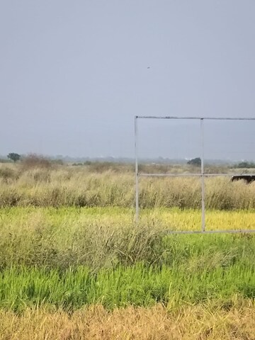  Plot For Sale in Vindhane