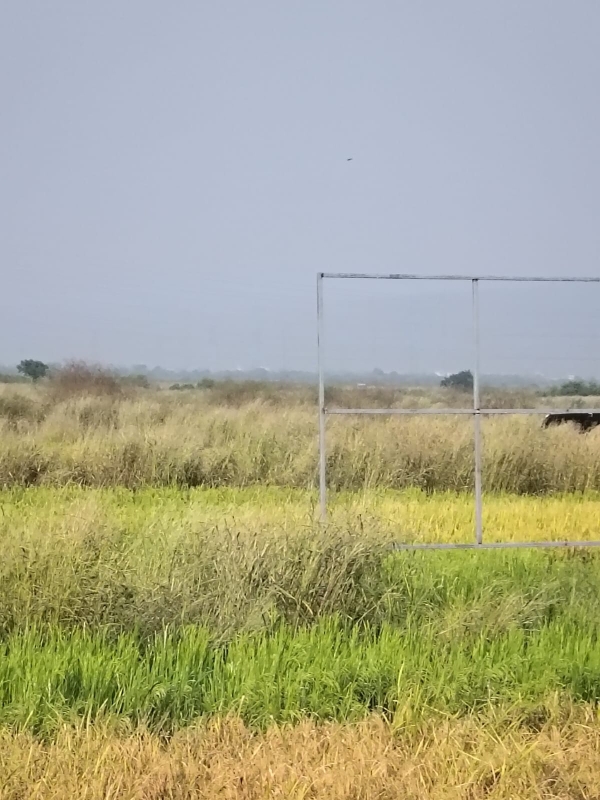 Plot For Sale in Legal Property Developers