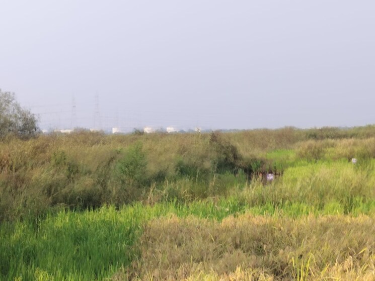 undefined, vindhane  1089 Sq.Ft. Plot In Vindhane Navi Mumbai 8004366