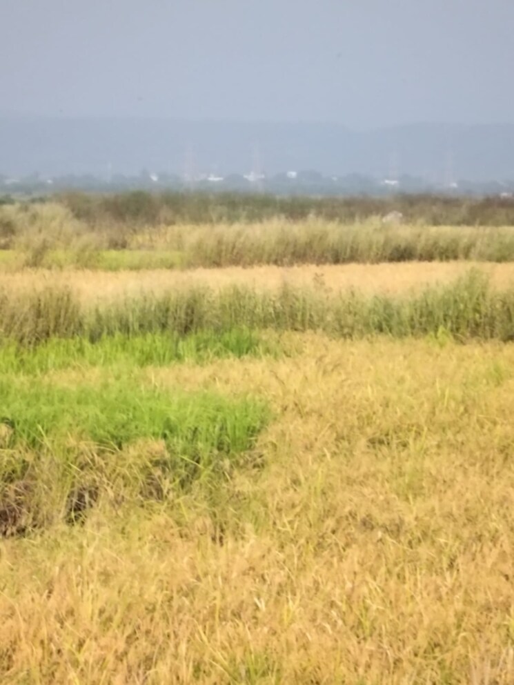 undefined, vindhane  1089 Sq.Ft. Plot In Vindhane Navi Mumbai 8004366