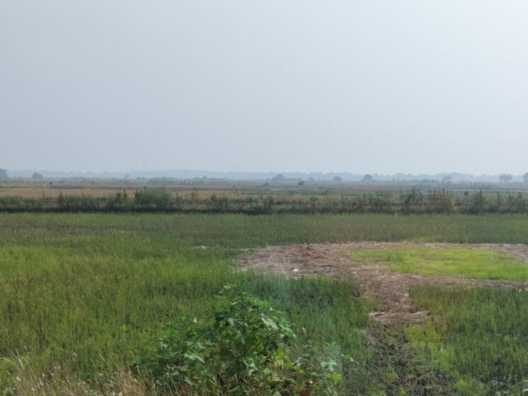 undefined, vindhane  1089 Sq.Ft. Plot In Vindhane Navi Mumbai 8004427