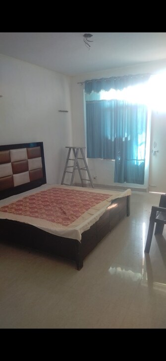 2.5 BHK Apartment For Rent in Omaxe Heights Sonipat Sector 8 Sonipat  8004513