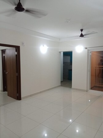 2 BHK Apartment For Rent in Godrej 24 Sarjapur Sarjapur Road Bangalore  8004541