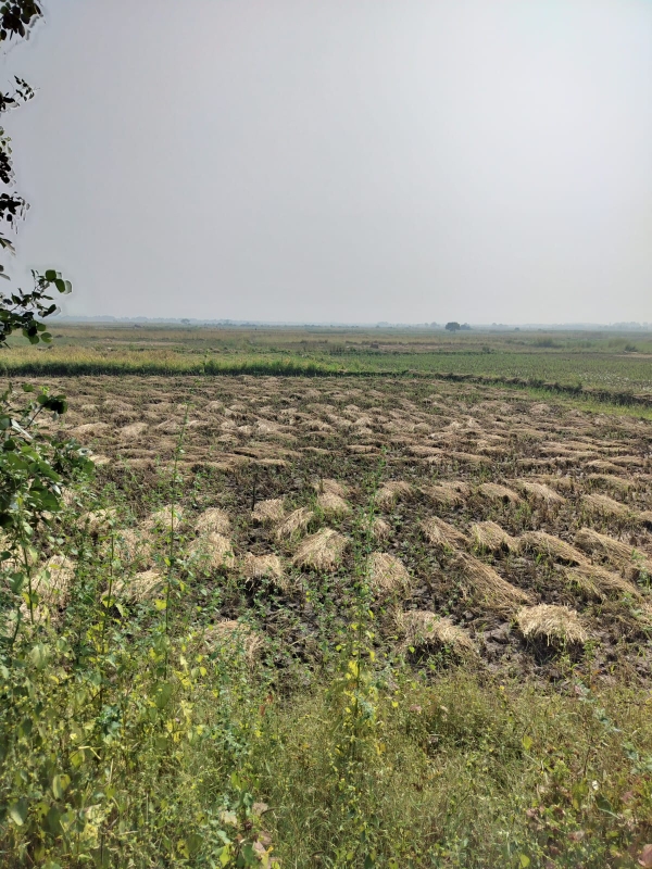 Plot For Sale in Legal Property Developers