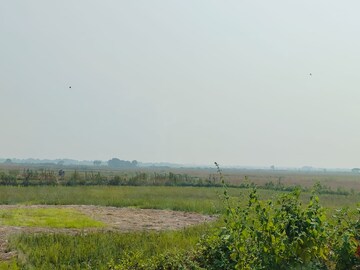 Plot Area in  Plot at Vindhane – for Sale