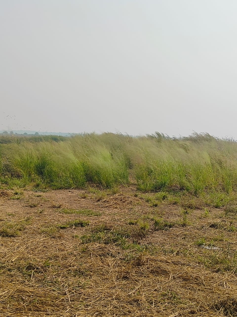 Land For Sale in Legal Property Developers