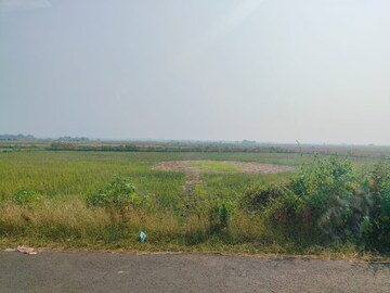 Plot Area in  Land at Vindhane – for Sale