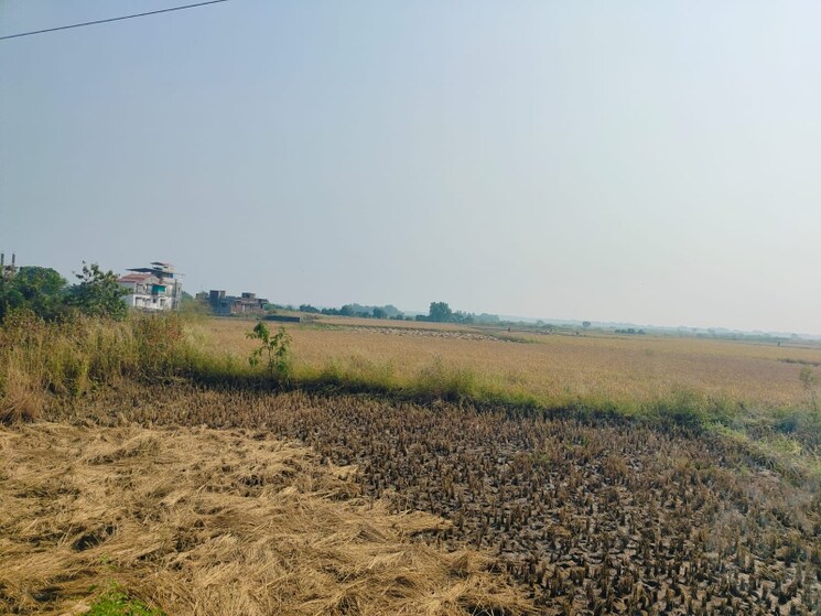 undefined, vindhane Commercial Land 1089 Sq.Ft. In Vindhane Navi Mumbai 8004605