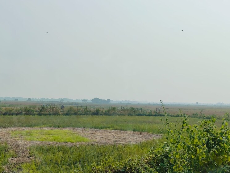 undefined, vindhane Commercial Land 1089 Sq.Ft. In Vindhane Navi Mumbai 8004605