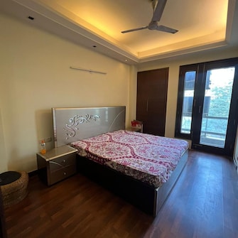 3 BHK Independent House For Rent in Safdarjang Enclave Delhi  8004619