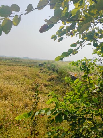  Land – Garden View at Vindhane - for Sale
