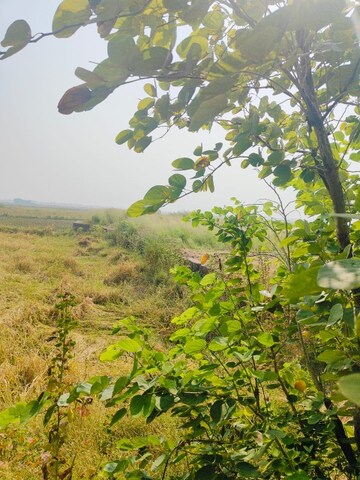  Land – Garden View at Vindhane - for Sale