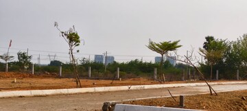Plot Area in  Plot at Kandi – for Sale