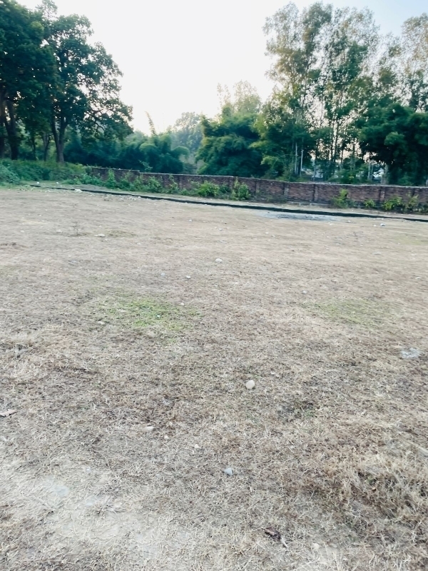 Plot For Sale in Badowala