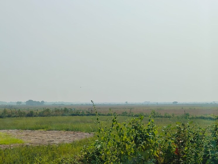 undefined, vindhane Commercial Land 1089 Sq.Ft. In Vindhane Navi Mumbai 8004791