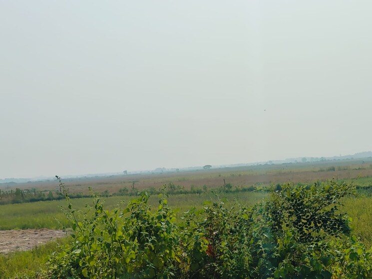 undefined, vindhane Commercial Land 1089 Sq.Ft. In Vindhane Navi Mumbai 8004791