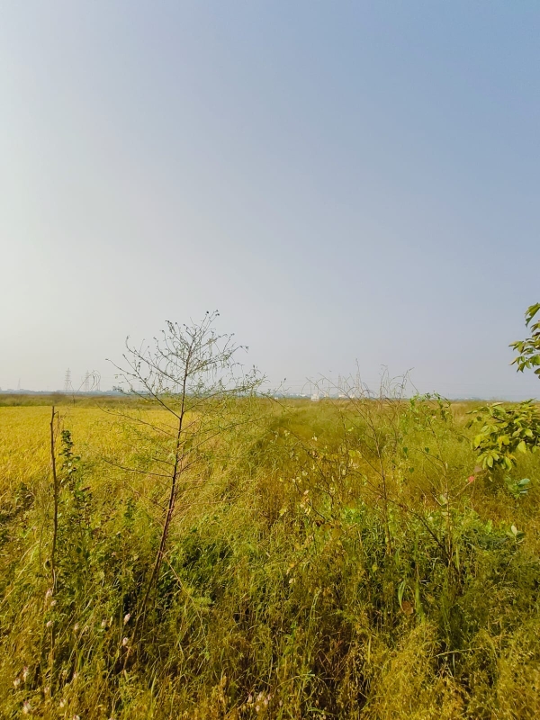 Land For Sale in Legal Property Developers