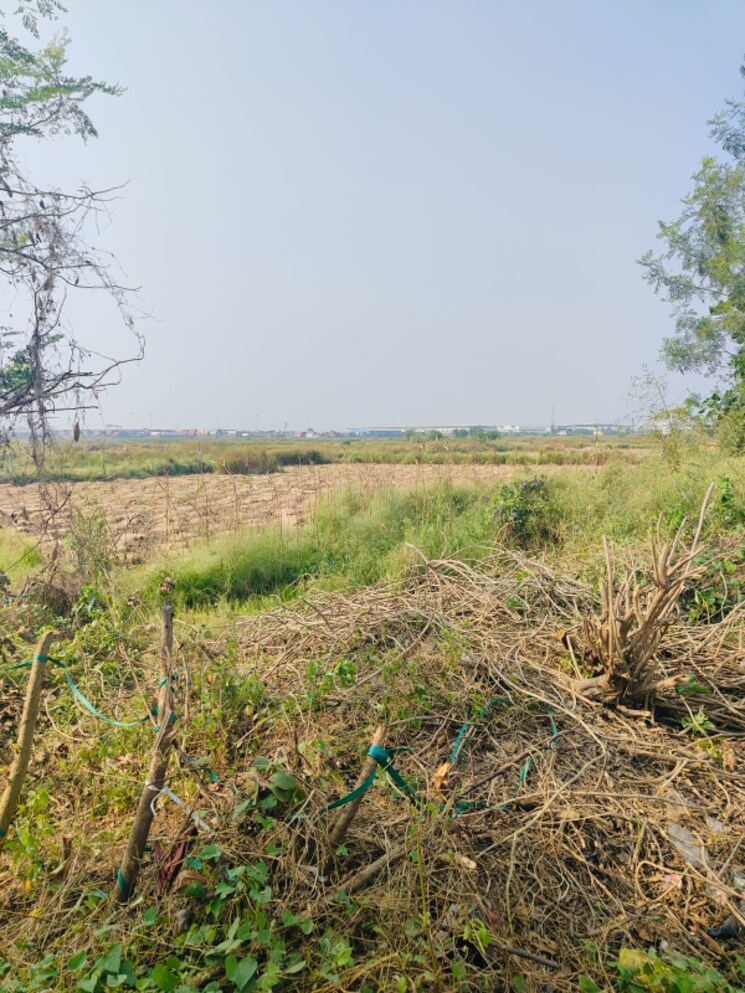 undefined, vindhane Commercial Land 1089 Sq.Ft. In Vindhane Navi Mumbai 8004820