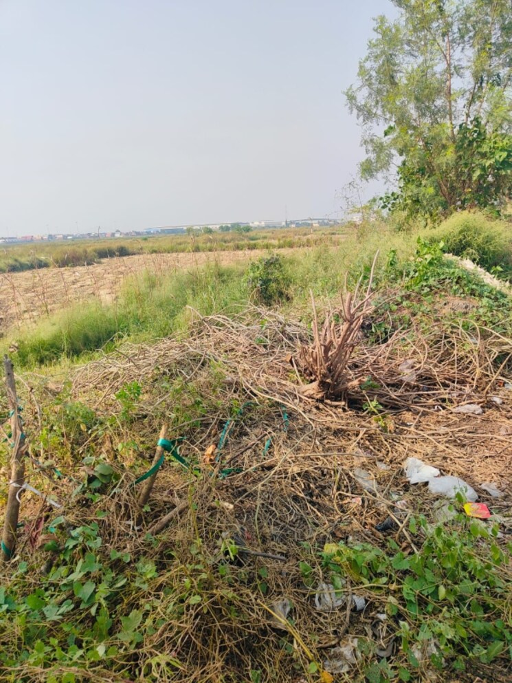 undefined, vindhane Commercial Land 1089 Sq.Ft. In Vindhane Navi Mumbai 8004820