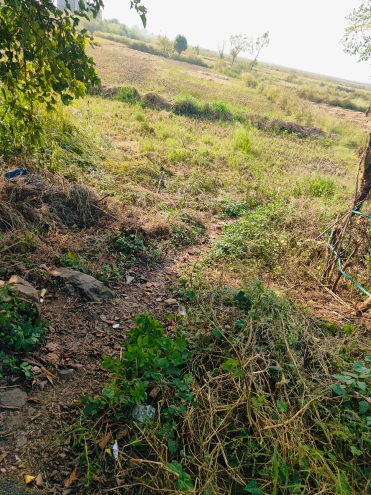 undefined, vindhane Commercial Land 1089 Sq.Ft. In Vindhane Navi Mumbai 8004820