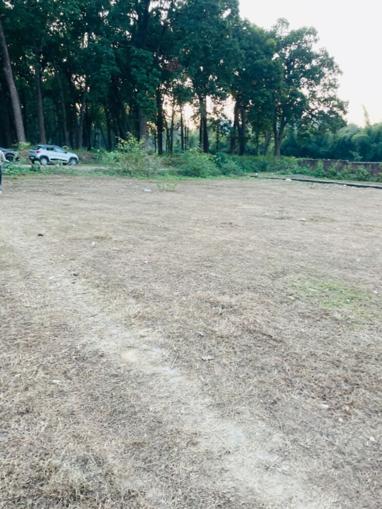 undefined, badowala  158 Sq.Yd. Plot In Badowala Dehradun 8004855