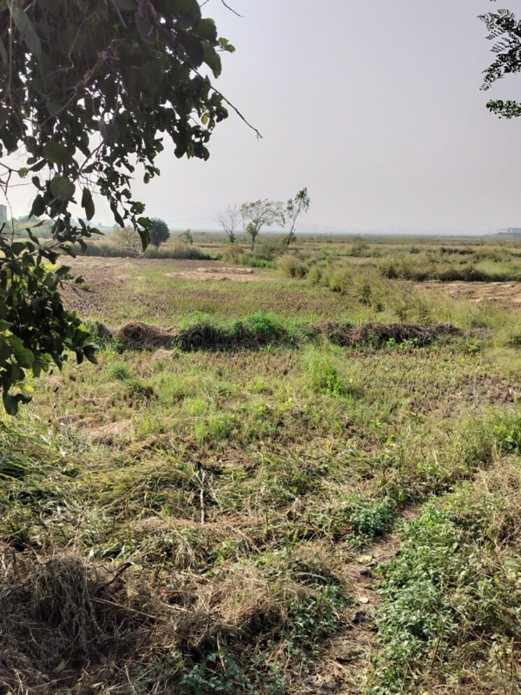 undefined, vindhane Commercial Land 1089 Sq.Ft. In Vindhane Navi Mumbai 8004858