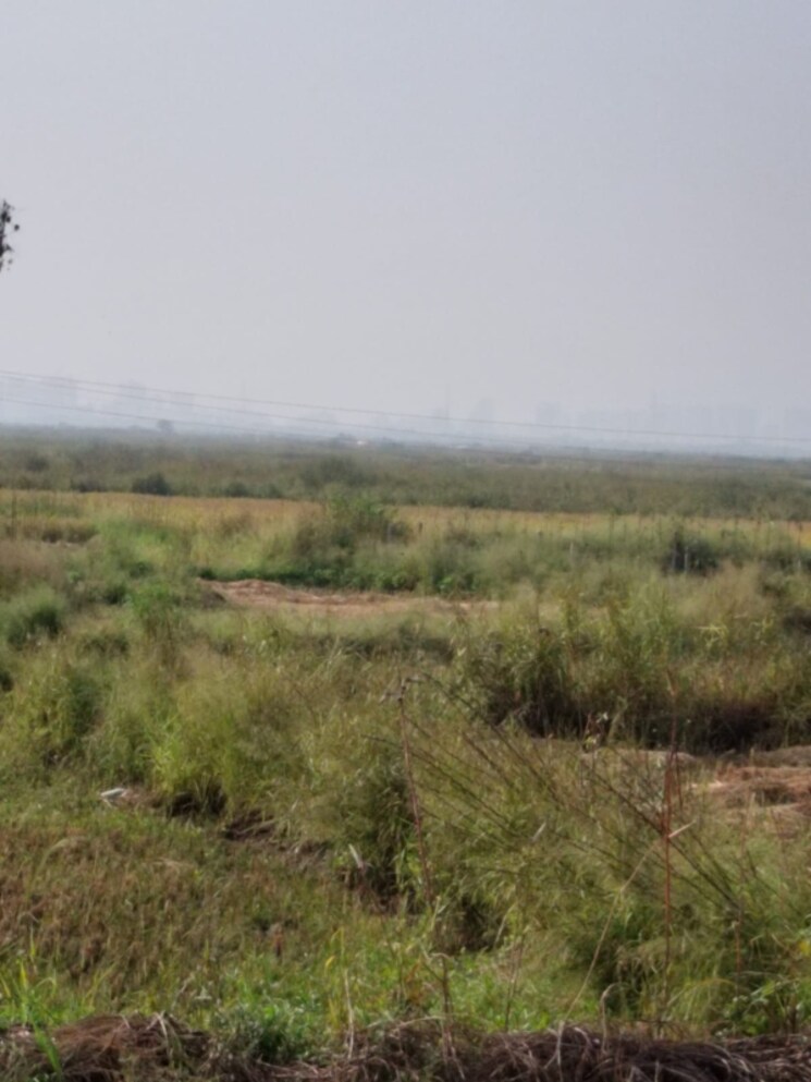 undefined, vindhane Commercial Land 1089 Sq.Ft. In Vindhane Navi Mumbai 8004858