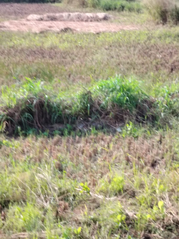 Land For Sale in Legal Property Developers